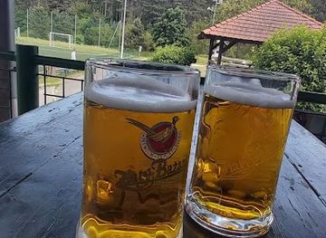 hungary/pilis-mountains/bar/villa-negra