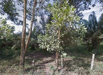 colombia/catatumbo/bar/la-y-astilleros