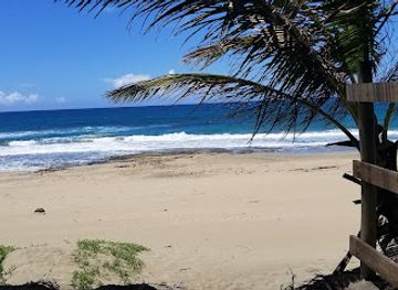 puerto-rico/arecibo-region/bar/el-clandestino