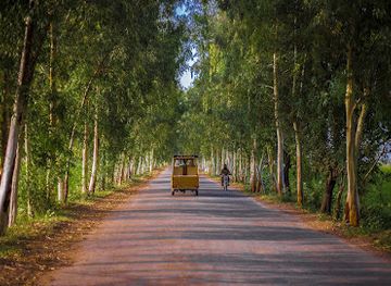 pakistan/ayubia-national-park/bar/lintott-s-cafe-murree