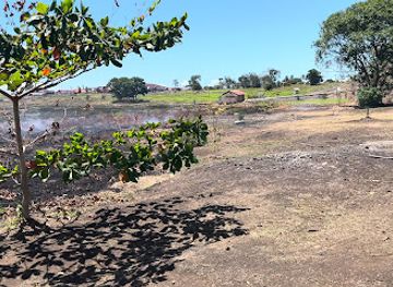 trinidad-and-tobago/pitch-lake/bar/the-tarpit