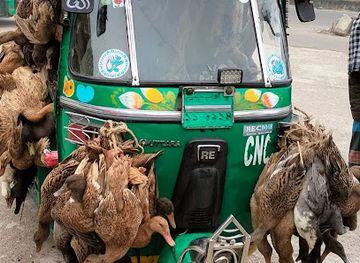 bangladesh/greater-noakhali/bar/