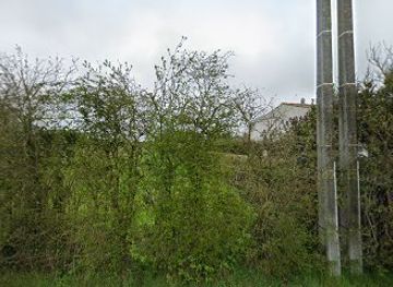 france/marais-poitevin/bar/brasserie-la-finambule