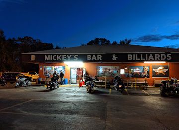 florida/nature-coast/bar/mickey-s-bar-crystal-river