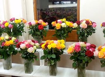 kenya/mount-kenya-national-park/bar/mt-kenya-view-point-bar-rest