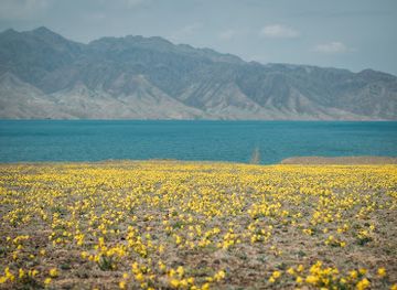 kazakhstan/bartogay-lake/bar/bartogay
