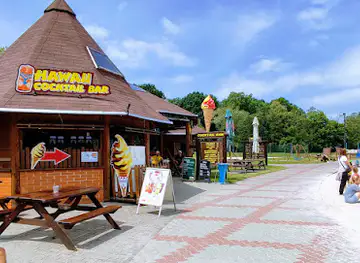 Hawaii Bar