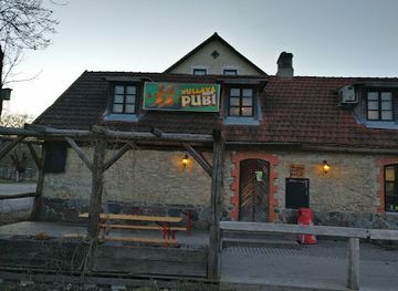 estonia/jogeva-county/bar/hullava-naise-pubi