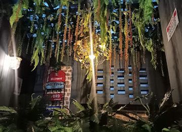 colombia/orinoquia/bar/village-cafe