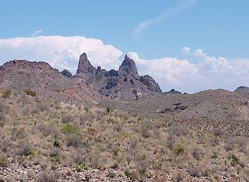 texas/big-bend-national-park/bar/mule-ears-viewpoint
