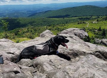 virginia/grayson-highlands-state-park/bar/appalachian-trail-grayson-highlands