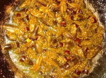 bangladesh/bandarban-hill-tracts/bar/lobiot-restaurant