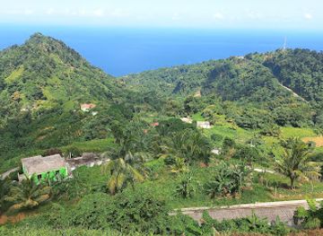 dominica/batibou-beach/bar/giant-s-bar