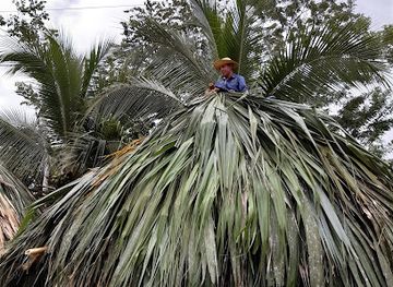 panama/darien/bar/zapallal-darien