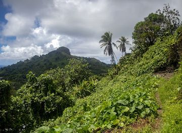 micronesia/mortlock-islands/bar/japanese-gun