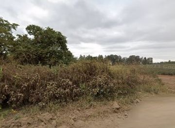 kenya/turkana-basin/bar/ndula-running-water-bar-and-butchery