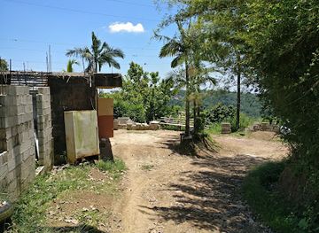 jamaica/blue-mountains/bar/tyrone-s-bar