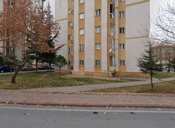 turkiye/phrygia/bar/ari-pub