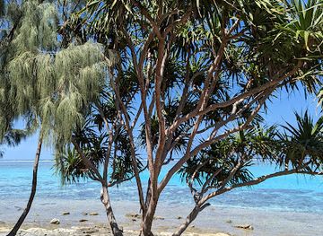 vanuatu/anatom-aneityum/bar/mystery-island-tours