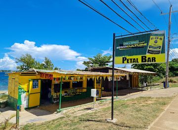 jamaica/dry-harbour-mountains/bar/petal-bar