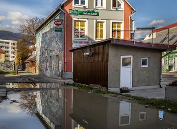 slovakia/velka-fatra-national-park/bar/elephant-bar