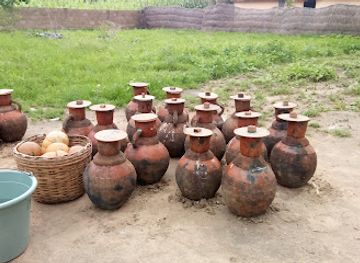 chad/mayo-kebbi-west/bar/gngp-sarl-kaele