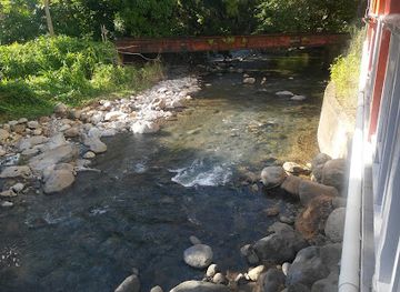 dominica/purple-turtle-beach/bar/coco-mangos-bar-and-grill