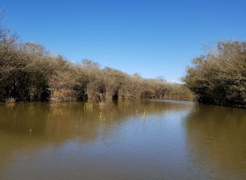louisiana/catahoula-national-wildlife-refuge/bar/catahoula-national-wildlife-refuge