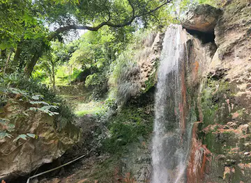 Garden Of Eden