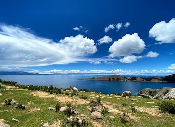 bolivia/lake-titicaca-basin/bar/las-velas
