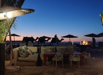 morocco/essaouira-region/bar/beach-and-friends