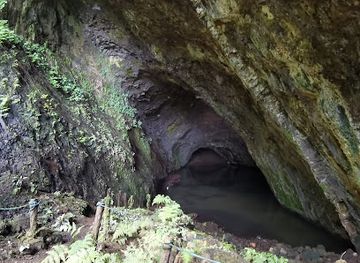 micronesia/kosrae/bar/wiya-bird-cave