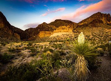 texas/big-bend-national-park/bar/big-bend-national-park