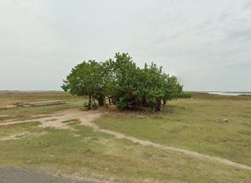 sri-lanka/northern-province/bar/palmyrah-toddy-cool-place-karanavai-south