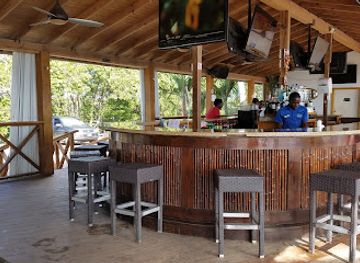 saint-kitts-and-nevis/saint-george-basseterre-parish/bar/vibes-beach-bar