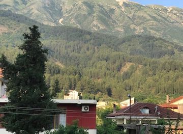 albania/permet/bar/gold-guest-house-bar