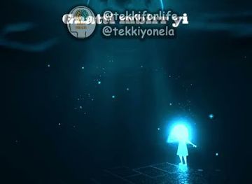 senegal/sine-saloum-delta/bar/bar