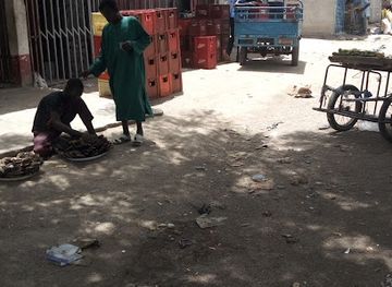 chad/mayo-kebbi-west/bar/super-pakita-bar