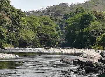 panama/chiriqui-highlands/bar/la-gallotera-rainforest-bar