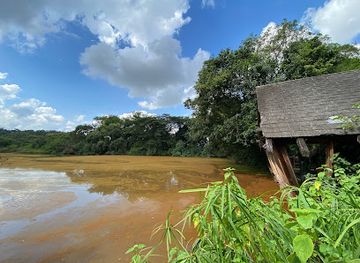 eswatini/usuthu-river-basin/bar/hippo-haunt