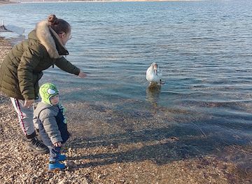 serbia/ada-ciganlija/bar/pilon-ada