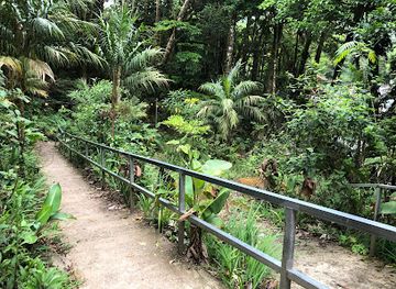 costa-rica/monteverde-cloud-forest-biological-reserve/bar/cafe-colibri
