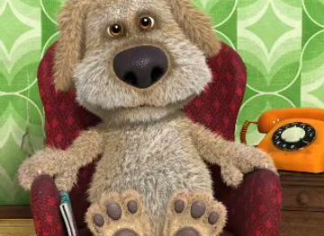 sierra-leone/tokeh-beach/bar/peninsular-spot