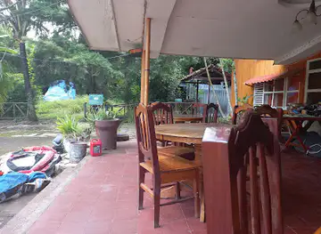 Iguanas Bar