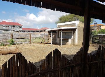 uganda/karamoja/bar/cactus-bar-and-grill