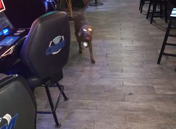 illinois/cicero/bar/the-tap-room