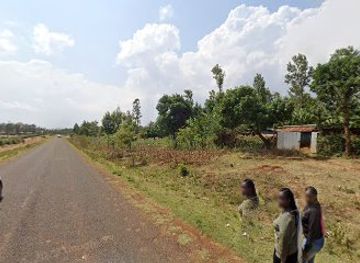 kenya/shaba-national-reserve/bar/club-psychic