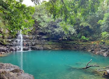 mauritius/blue-bay/bar/the-skipper-and-the-blond-lakaz-metiss-arobaz