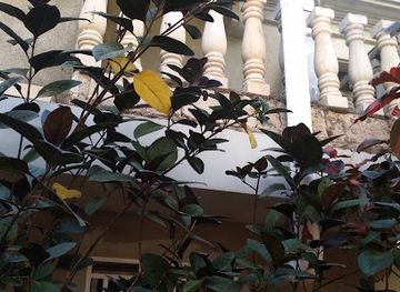 haiti/cotes-de-fer/bar/chandelle-bar-and-grill