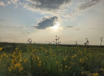 kansas/tallgrass-prairie-national-preserve/bar/kansas-scenic-view